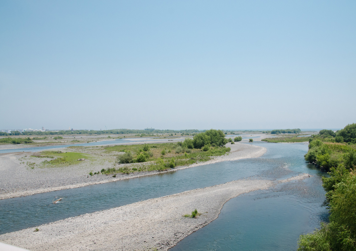 カネジュウの味